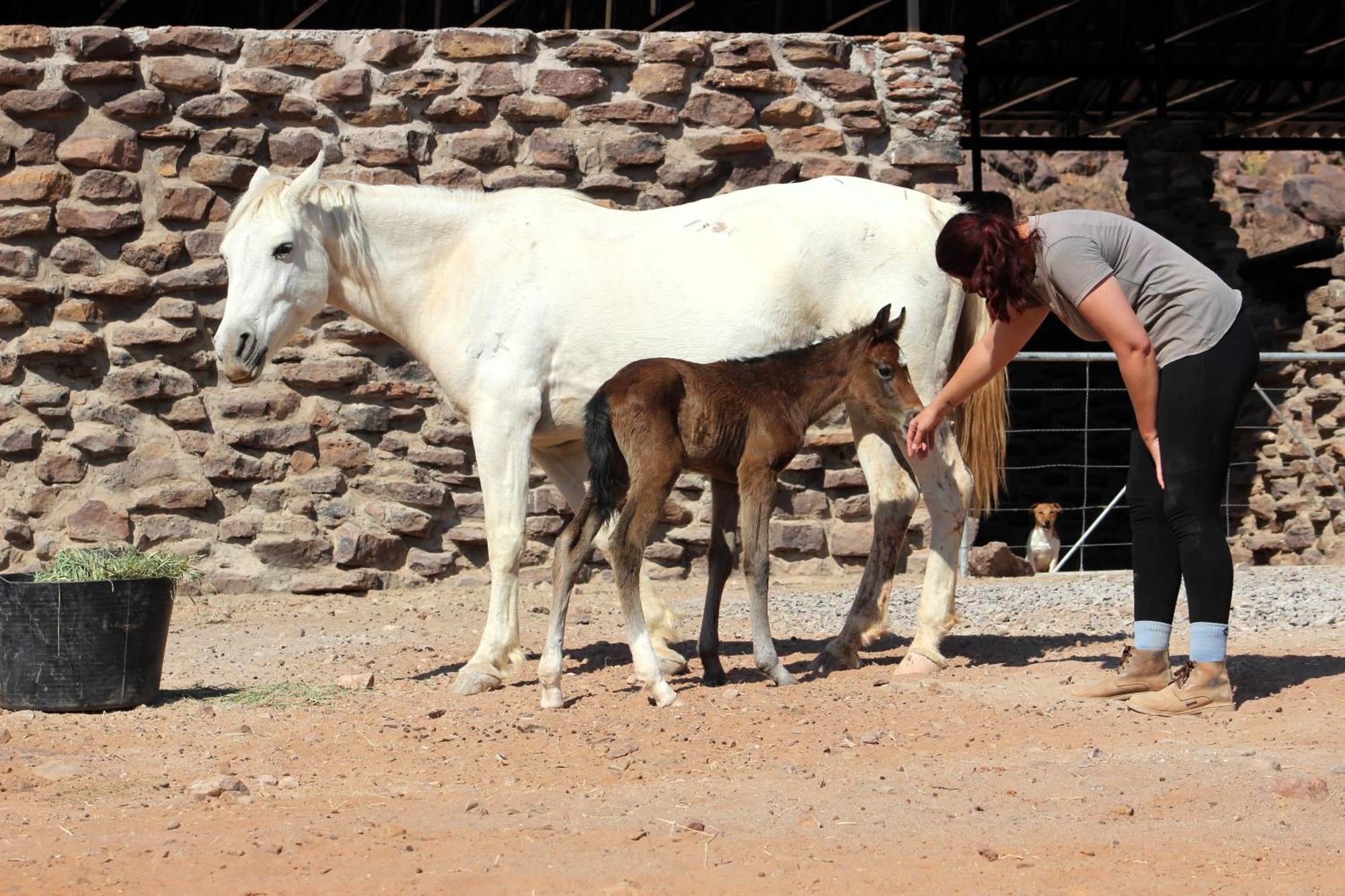 The Farm Life - Namibia Apartment Maltahohe Luaran gambar